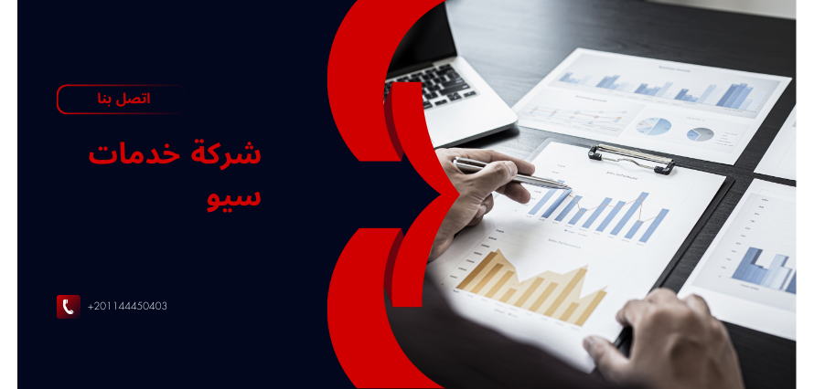 شركة خدمات سيو SEO services company